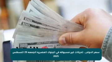 سعر الدولار.. تحركات غير مسبوقة في البنوك المصرية الجمعة 29 أغسطس 2025